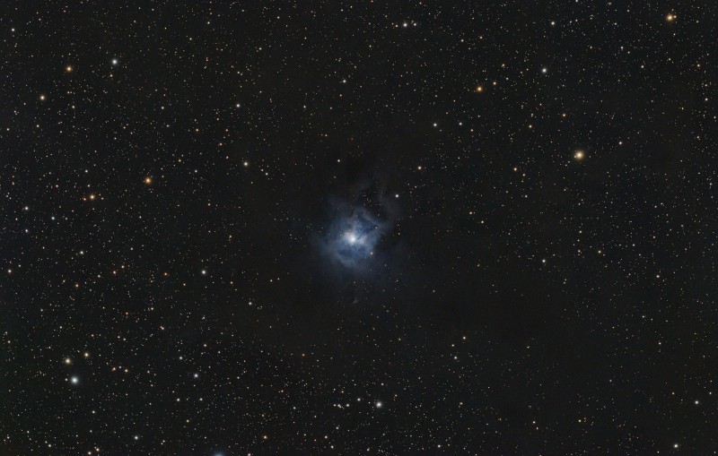 NGC7023-Iris-102f4-2600C-90x60s.jpg
