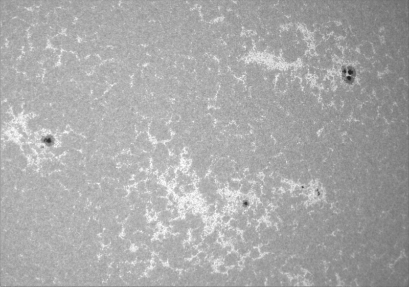 2026-07-28-0823_6-U-G-Sun_CaK_ZWO ASI183MM_Gain=10_Exposure=.0ms_Gamma=19(off)_2_Surface_23_Sharp20_B1.0_C1.0_S1_N1-Affinity02.png