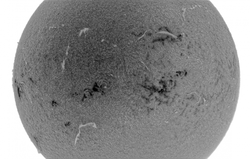 2026-07-28-0842_4-U-G-Sun_Halpha_ZWO ASI585MM_Gain=163_Exposure=7.6ms_Gamma=30_10_Surface_23_Sharp20_B1.0_C1.0_S1_N1_INV.png