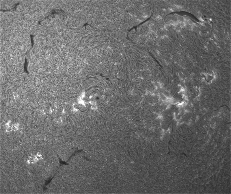 2026-07-29-0852_8-U-G-Sun_Halpha_ZWO ASI585MM_Gain=163_Exposure=7.6ms_Gamma=2_16_Surface_24_Sharp20_B1.0_C1.0_S1_N1.png