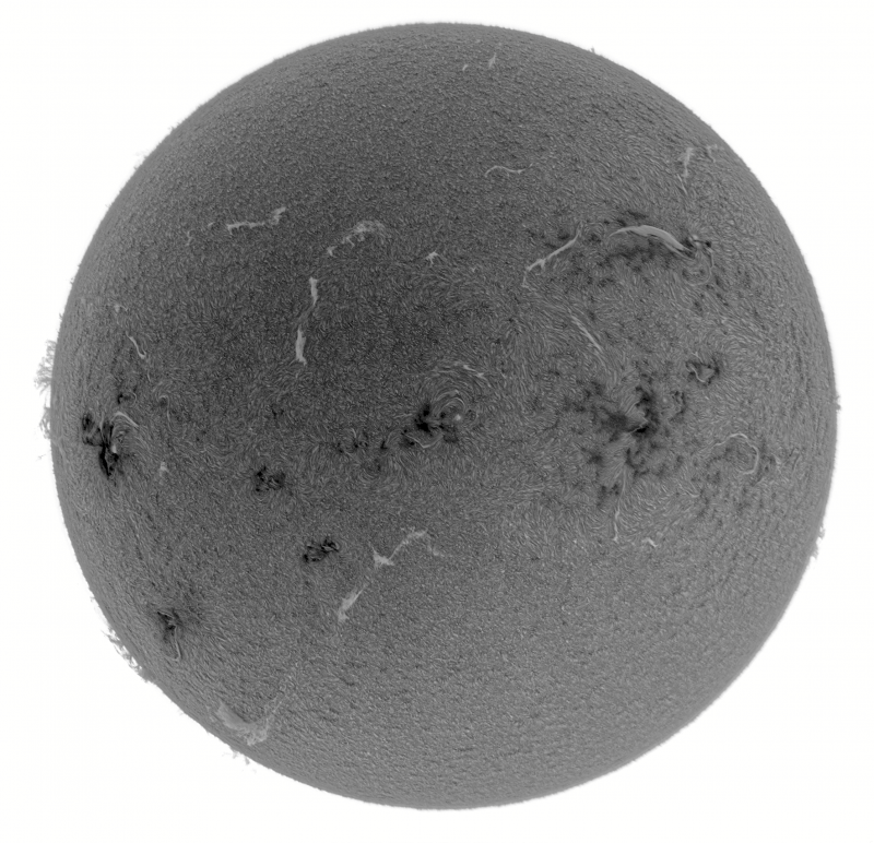 2026-07-29-0854_3-U-G-Sun_Halpha_ZWO ASI585MM_Gain=163_Exposure=7.6ms_Gamma=50_17_Surface_24_Sharp24_B1.0_C1.0_S1_N1_INV.png