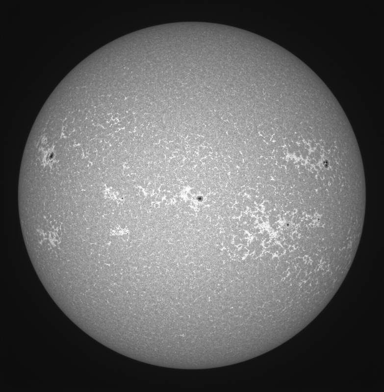 2026-07-29-1011_6-U-G-Sun_CaK_ZWO ASI183MM_Gain=1_Exposure=.0ms_Gamma=19(off)_6_Surface_24_Sharp20_B1.0_C1.0_S1_N1.02.png