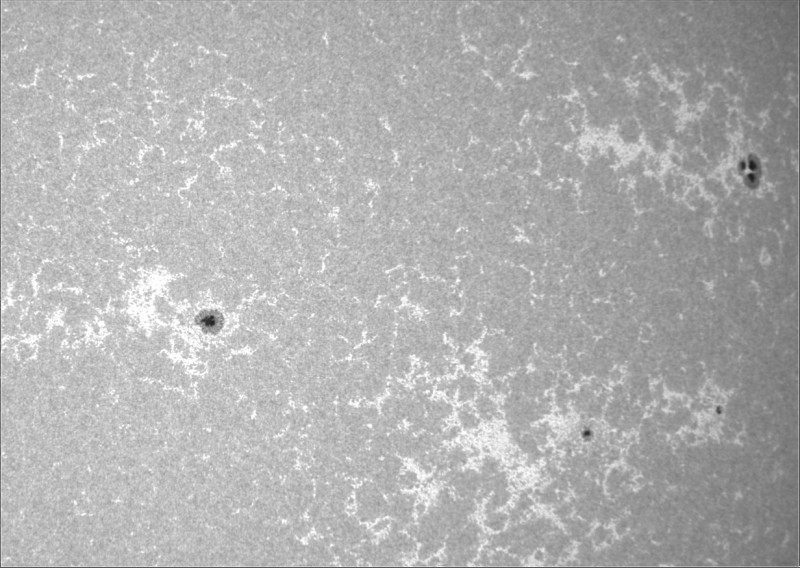 2026-07-29-1014_1-U-G-Sun_CaK_ZWO ASI183MM_Gain=1_Exposure=.0ms_Gamma=19(off)_8_Surface_24_Sharp20_B1.0_C1.0_S1_N1.jpg