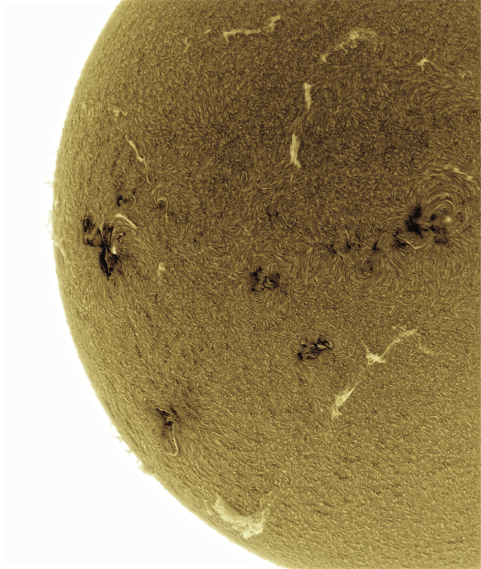 2026-07-29-0849_9-U-G-Sun_Halpha_ZWO ASI585MM_Gain=163_Exposure=7.6ms_Gamma=1_13_Surface_24_Sharp20_B26.0_C0.8_S1_N1_SUN_INV.png