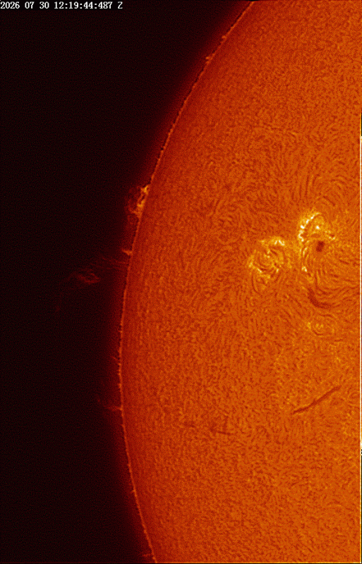 Timelapse00002 at 14_19_44_forward_reverse.gif