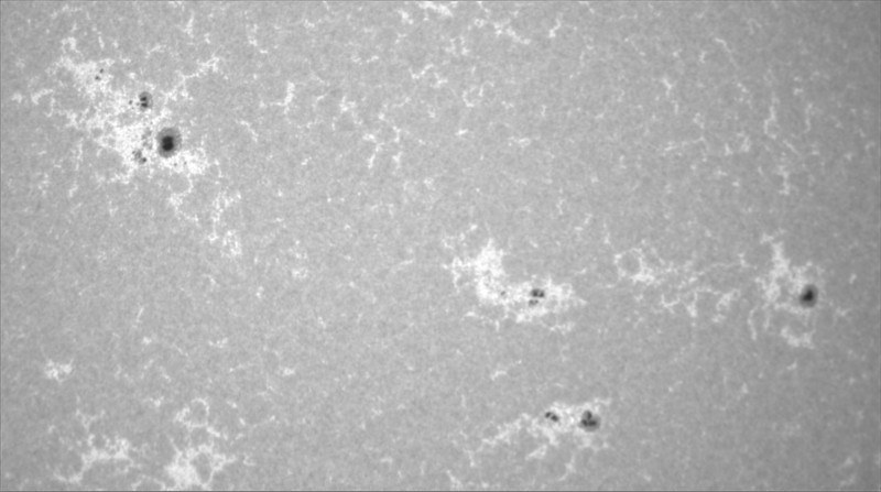 2026-08-01-0817_2-U-G-Sun_CaK_ZWO ASI183MM_Gain=1_Exposure=.1ms_Gamma=19(off)_4_Surface_22_Sharp20_B1.0_C1.0_S1_N1.jpg