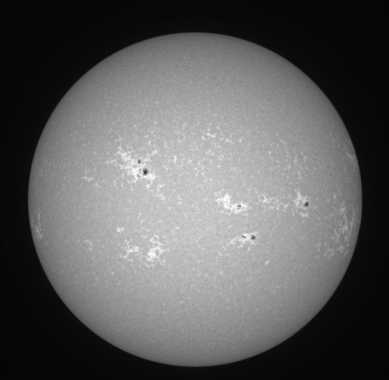 2026-08-01-0903_4-U-G-Sun_CaK_ZWO ASI183MM_Gain=1_Exposure=.1ms_Gamma=19(off)_5_Surface_22_Sharp21_B1.0_C1.0_S1_N1.jpg