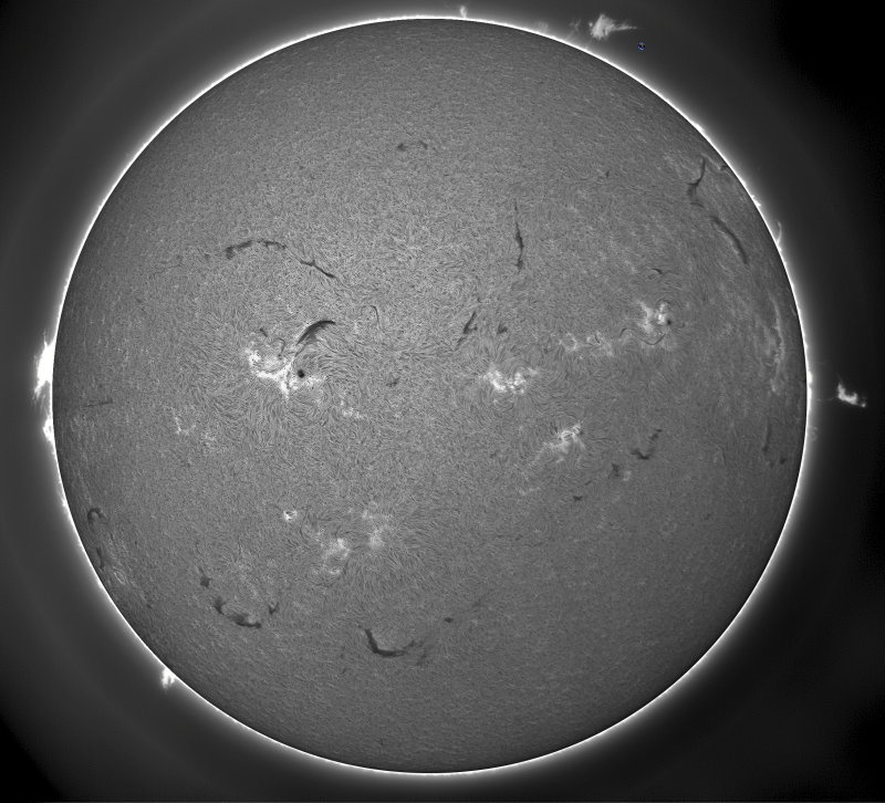 2026-08-01-0832_2-U-G-Sun_Halpha_ZWO ASI585MM_Gain=155_Exposure=7.6ms_Gamma=1_11_Surface_22.fit-ImPPG.02-PIX.04.png