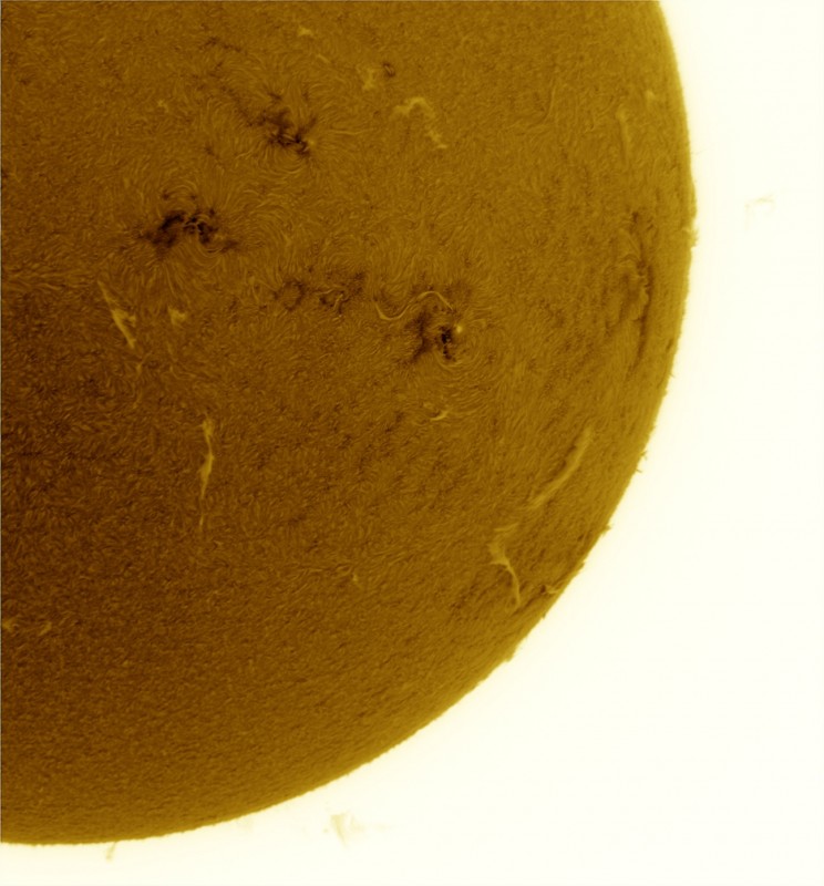 2026-08-01-0835_7-U-G-Sun_Halpha_ZWO ASI585MM_Gain=155_Exposure=7.6ms_Gamma=50_14_Surface_22_Sharp24_B1.0_C1.0_S1_N1_SUN_INV.jpg
