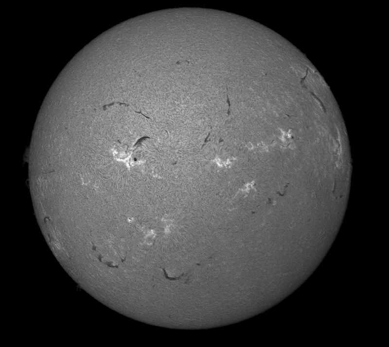 2026-08-01-0832_2-U-G-Sun_Halpha_ZWO ASI585MM_Gain=155_Exposure=7.6ms_Gamma=1_11_Surface_22.fit-ImPPG.02-PIX.05.png