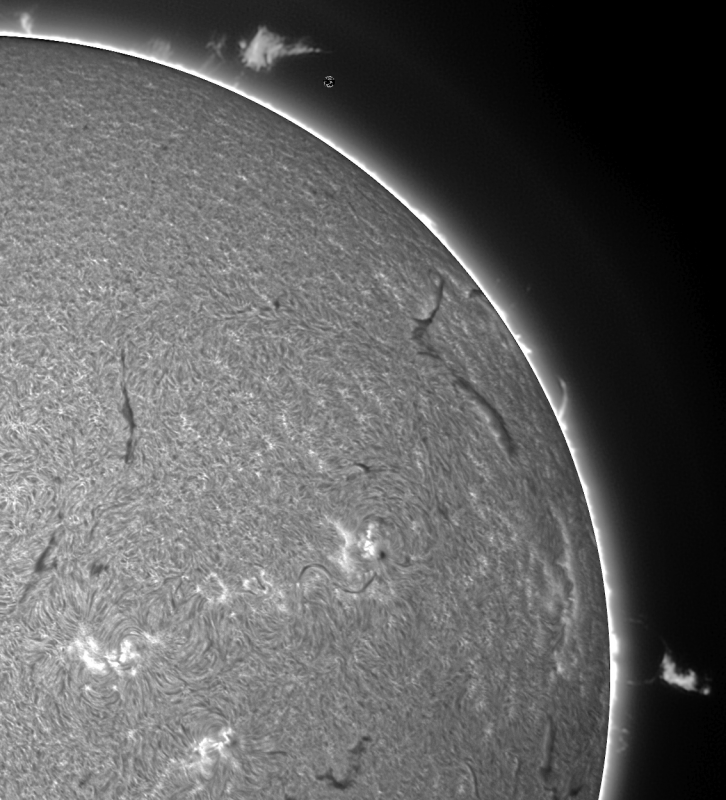 2026-08-01-0847_4-U-G-Sun_Halpha_ZWO ASI585MM_Gain=155_Exposure=7.6ms_Gamma=60_20_Surface_22_Sharp24_B1.0_C1.0_S1_N1_SUN-CROP01.png