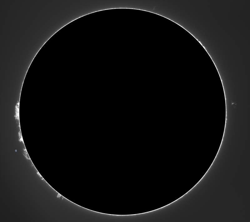 2026-08-02-1045_7-U-G-Sun_Halpha_ZWO ASI585MM_Gain=194_Exposure=18.5ms_Gamma=71_1_Surface_24-PROTUS01++.png