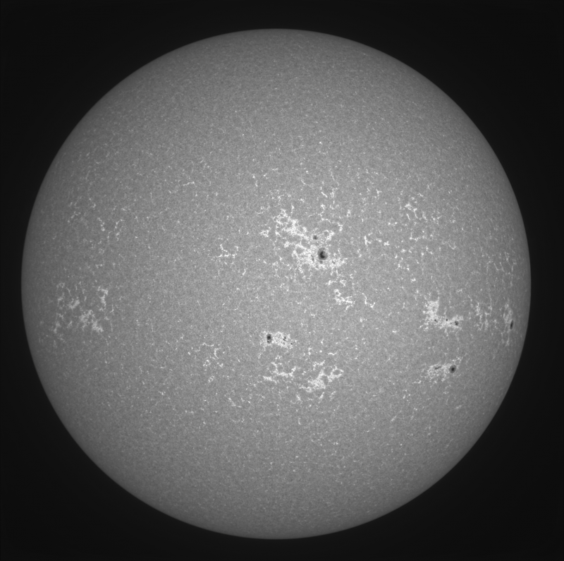 2026-08-03-1103_8-U-G-Sun_CaK_ZWO ASI585MM_Gain=0_Exposure=.0ms_Gamma=50(off)_1_Surface_24_Sharp20_B1.0_C1.0_S1_N1.png