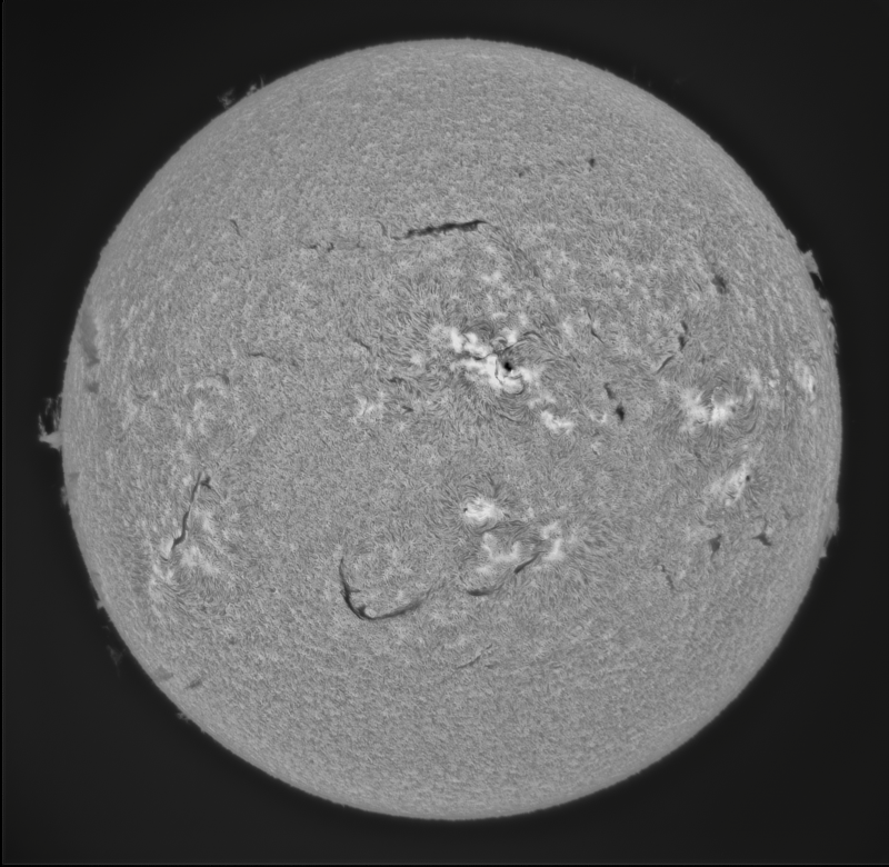 2026-08-03-1138_6-U-G-Sun_Halpha_ZWO ASI183MM_Gain=184_Exposure=6.9ms_Gamma=51_6_Surface_24.fit - ImPPG.05-Pix.04.png