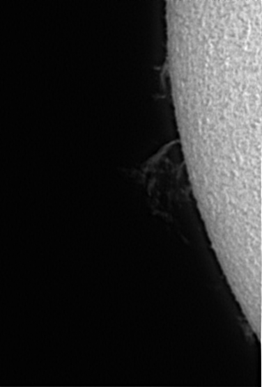 14_17_16Snapshot of Sun on 05_08_2026 at 14_17_16.PNG