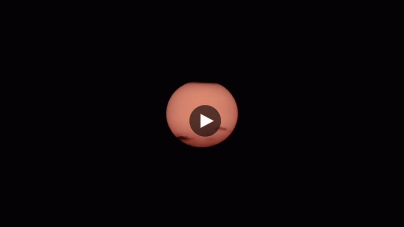 output555.gif
