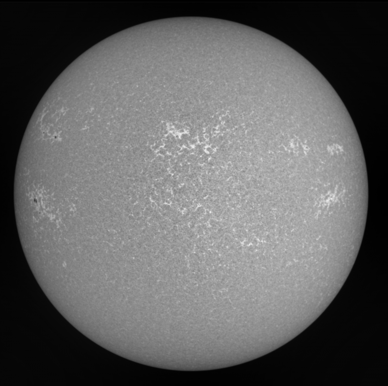 2026-08-07-1016_0-U-G-Sun_CaK_ZWO ASI585MM_Gain=1_Exposure=.0ms_Gamma=50(off)_1_Surface_30_Sharp20_B1.0_C1.0_S1_N1.png