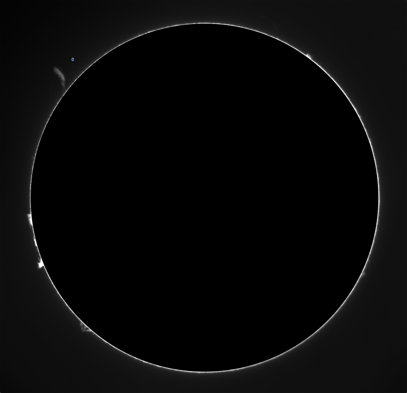 2026-08-08-1121_3-U-G-Sun_Halpha_ZWO ASI183MM_Gain=153_Exposure=38.9ms_Gamma=73_4_Surface_24.fit-Protus02-01.png