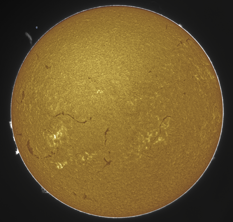 2026-08-08-1111_7-Sun_Surface_24_Sharp24_B29.0_C1.1_S1_N1_SUN.png