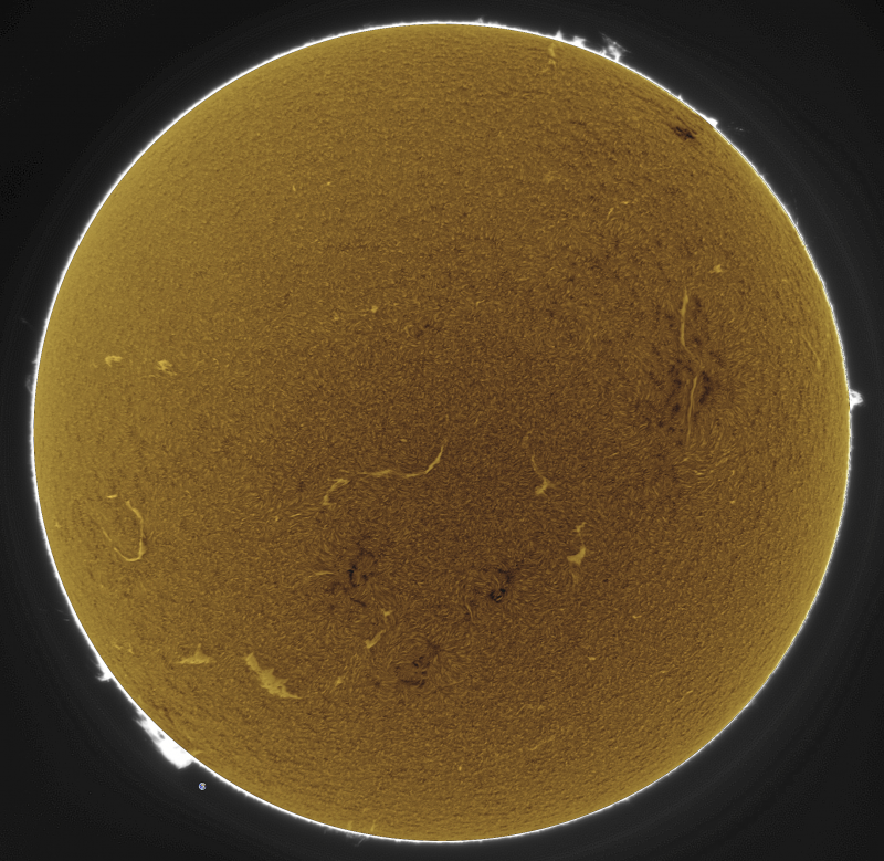 2026-08-09-1504_5-U-G-Sun_Halpha_ZWO ASI585MM_Gain=190_Exposure=5.8ms_Gamma=50_7_Surface_22_Sharp25_B0.0_C0.3_S1_N1_SUN_INV01.png