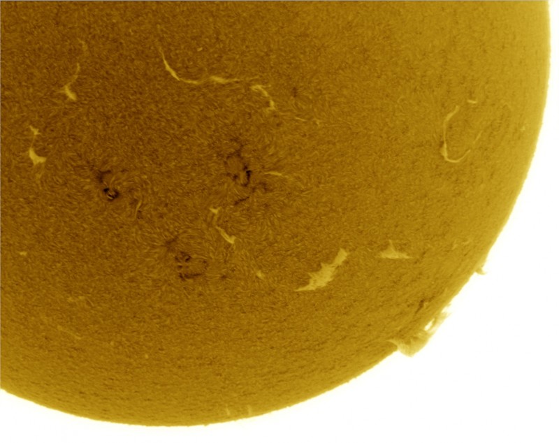 2026-08-09-1459_1-U-G-Sun_Halpha_ZWO ASI585MM_Gain=183_Exposure=5.8ms_Gamma=39_5_Surface_22_Sharp22_B6.0_C1.0_S1_N1_SUN_INV.jpg