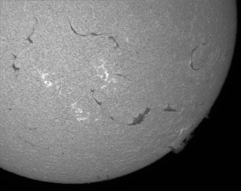 2026-08-09-1459_1-U-G-Sun_Halpha_ZWO ASI585MM_Gain=183_Exposure=5.8ms_Gamma=39_5_Surface_22_Sharp22_B47.0_C1.0_S1_N1.jpg