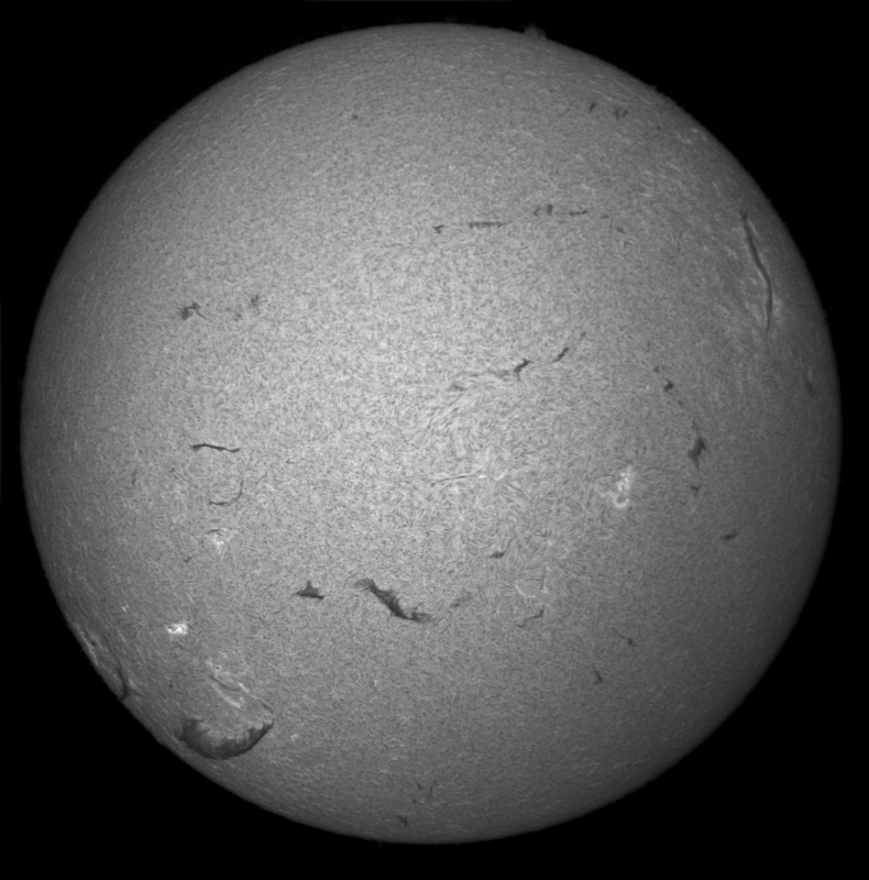 2026-08-11-0924_3-U-G-Sun_Halpha_ZWO ASI585MM_Gain=155_Exposure=7.6ms_Gamma=1_5_Surface_24_Sharp20_B1.0_C1.0_S1_N1-01.png