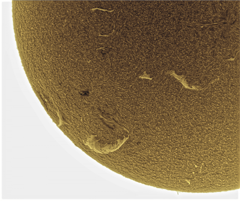 2026-08-11-0931_8-U-G-Sun_Halpha_ZWO ASI585MM_Gain=155_Exposure=7.6ms_Gamma=50_9_Surface_24_Sharp37_B55.0_C0.3_S1_N1_SUN_INV-02.png