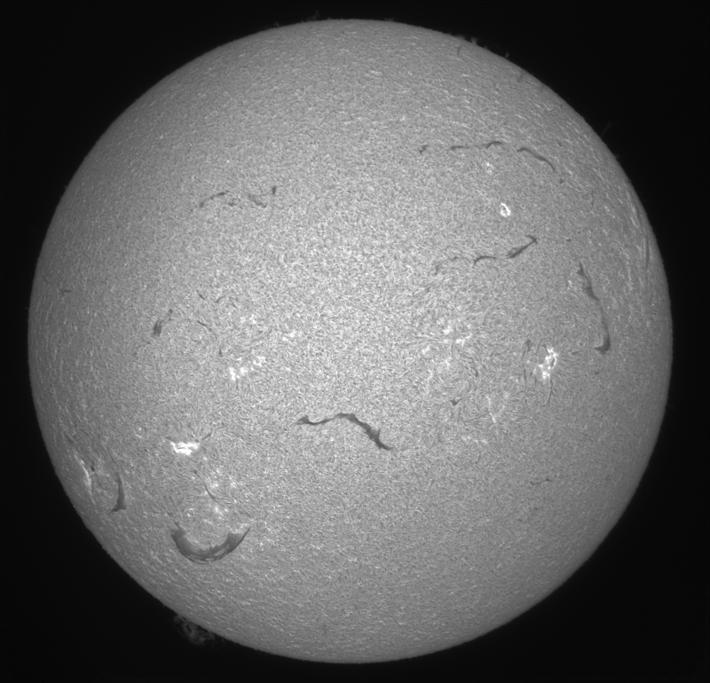 2026-08-12-0926_3-U-G-Sun_Halpha_ZWO ASI585MM_Gain=165_Exposure=7.6ms_Gamma=50_1_Surface_24_Sharp20_B1.0_C1.0_S1_N1-02.png