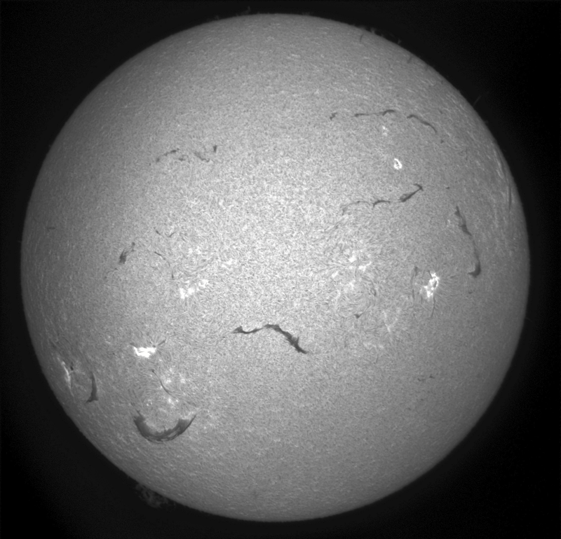 2026-08-12-0927_3-U-G-Sun_Halpha_ZWO ASI585MM_Gain=171_Exposure=7.6ms_Gamma=30_2_Surface_24_Sharp24_B30.0_C1.0_S1_N1.png