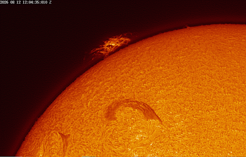 Timelapse00002 at 14_04_35_.gif