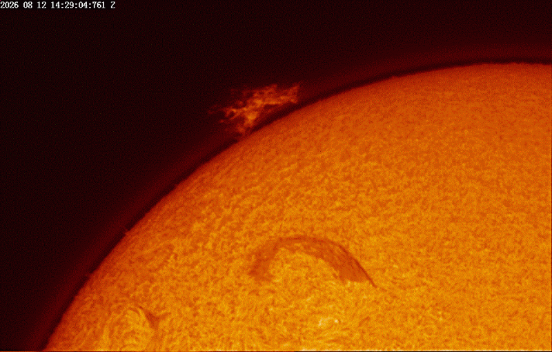 Timelapse00002 at 16_29_04_.gif