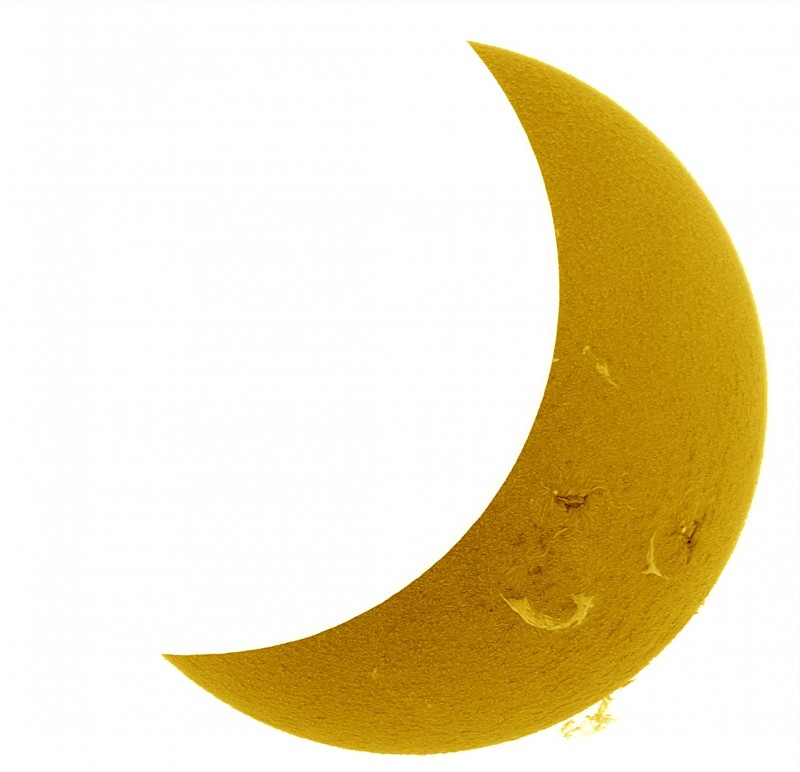 2026-08-12-1758_9-U-G-Sun_Halpha_ZWO ASI585MM_Gain=190_Exposure=7.6ms_Gamma=51_90_Surface_32_Sharp39_B0.0_C1.9_S1_N1_SUN_INV.jpg