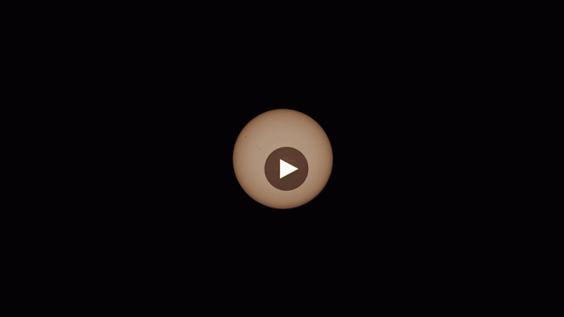 output555.gif