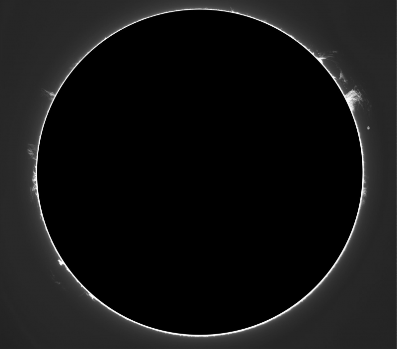 2026-08-20-0849_1-U-G-Sun_Halpha_ZWO ASI585MM_Gain=194_Exposure=18.5ms_Gamma=71_4_Surface_22_Sharp22_B1.0_C1.0_S1_N1_SUN-PROTUS.01-04.png