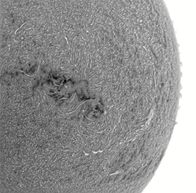 2026-08-27-0856_3-U-G-Sun_Halpha_ZWO ASI585MM_Gain=153_Exposure=7.6ms_Gamma=50_14_Surface_20_Sharp30_B1.0_C1.9_S1_N1_INV.png