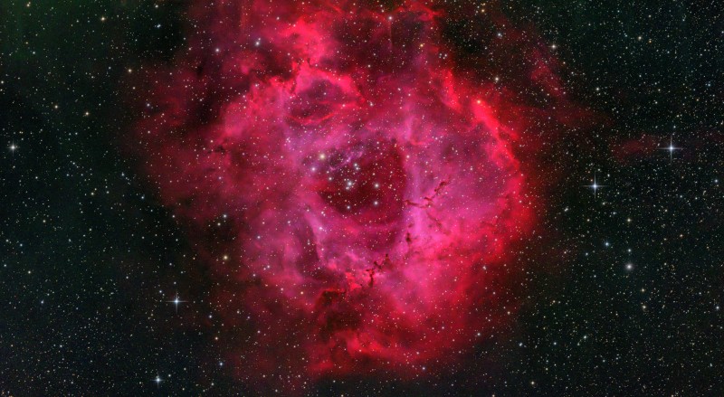 Rosette-LRGB_stacked_VeraLux_Final_Recomposed.jpg