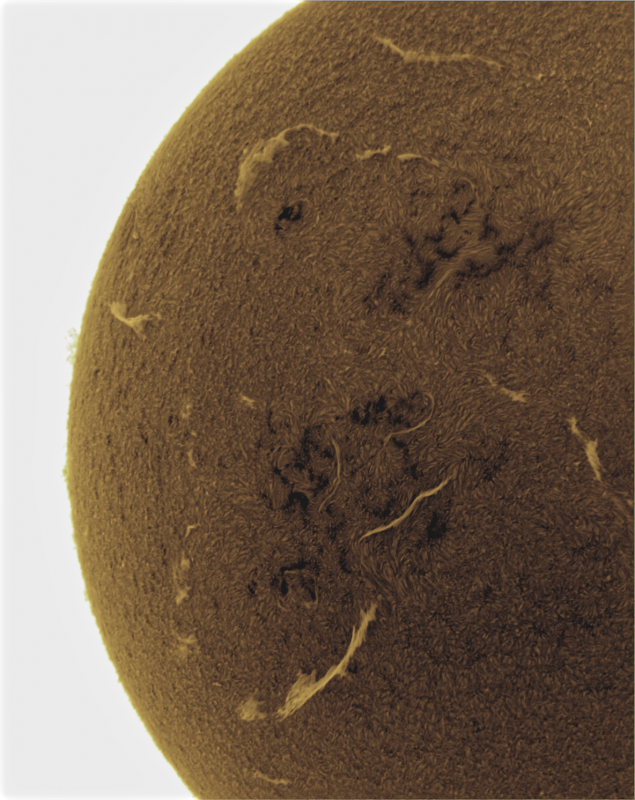 2026-08-28-0931_8-U-G-Sun_Halpha_ZWO ASI585MM_Gain=166_Exposure=7.6ms_Gamma=50_6_Surface_20_Sharp20_B88.0_C0.2_S1_N1_SUN_INV.png