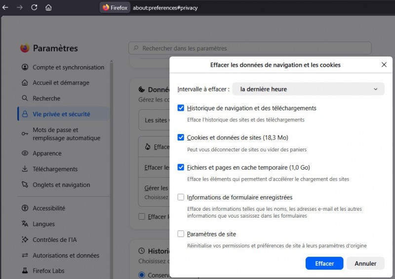 param-firefox.jpg