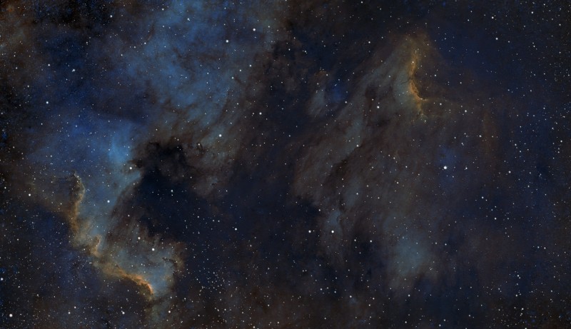 ngc7000FACON SHO.jpg