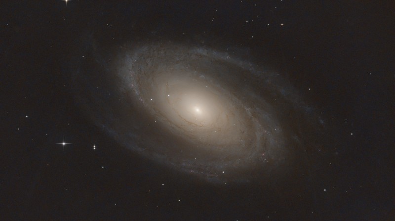 M_81_C8_Uranus-C_PRO_FILTER_6480_stacked_VeraLux_Final_Recomposed.jpg