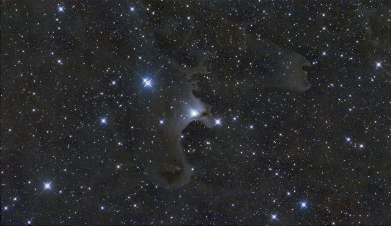 VDB-141_RC10LetRVB11_25843s__HDR v1 fo.jpg