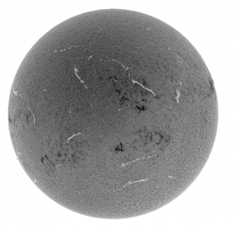 - 2026-08-31-1131_2-U-G-Sun_Halpha_ZWO ASI585MM_Gain=156_Exposure=6.5ms_Gamma=51_7_Surface_20_Sharp20_B1.0_C2.7_S1_N1_INV.png