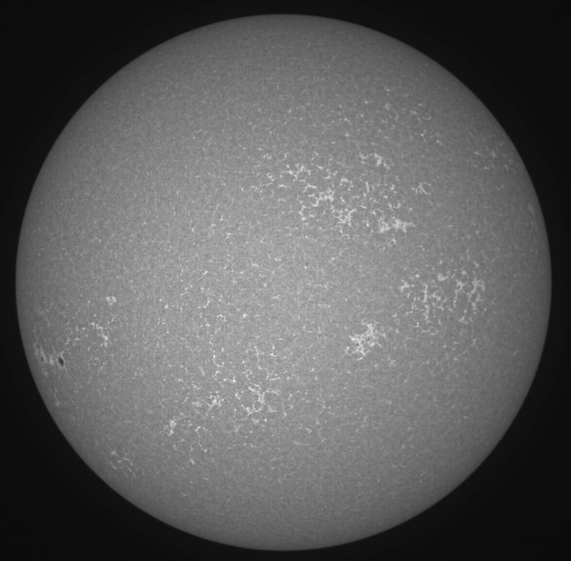 2026-09-01-0812_5-Sun_Surface_20_Sharp24_B1.0_C1.0_S1_N1-CaK01.png