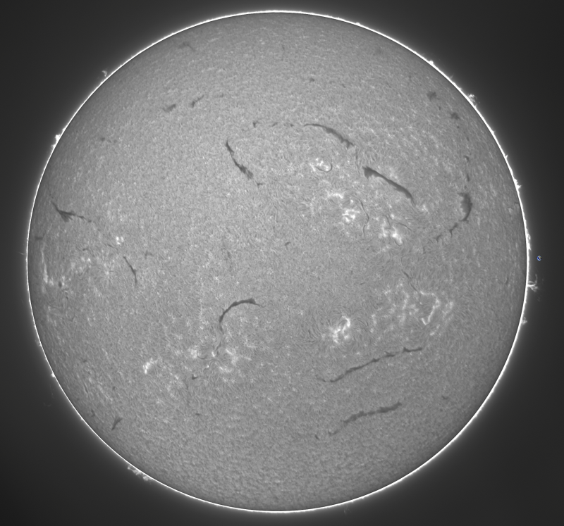 - 2026-09-01-0818_3-U-G-Sun_Halpha_ZWO ASI585MM_Gain=150_Exposure=6.5ms_Gamma=50_2_Surface_20.fit-IMPPG.01.Tif-Affinity.02-Fusion01.Png
