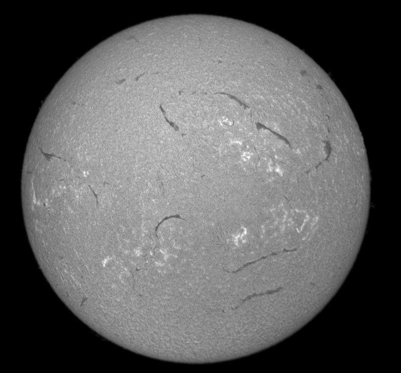 - 2026-09-01-0919_4-U-G-Sun_Halpha_ZWO ASI585MM_Gain=172_Exposure=6.5ms_Gamma=50_24_Surface_20_Sharp20_B1.0_C1.4_S1_N1.png