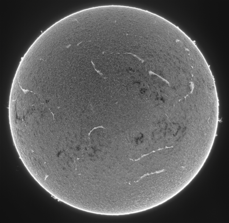 - 2026-09-01-0818_3-U-G-Sun_Halpha_ZWO ASI585MM_Gain=150_Exposure=6.5ms_Gamma=50_2_Surface_20.fit-IMPPG.01.Tif-Affinity.01.Png