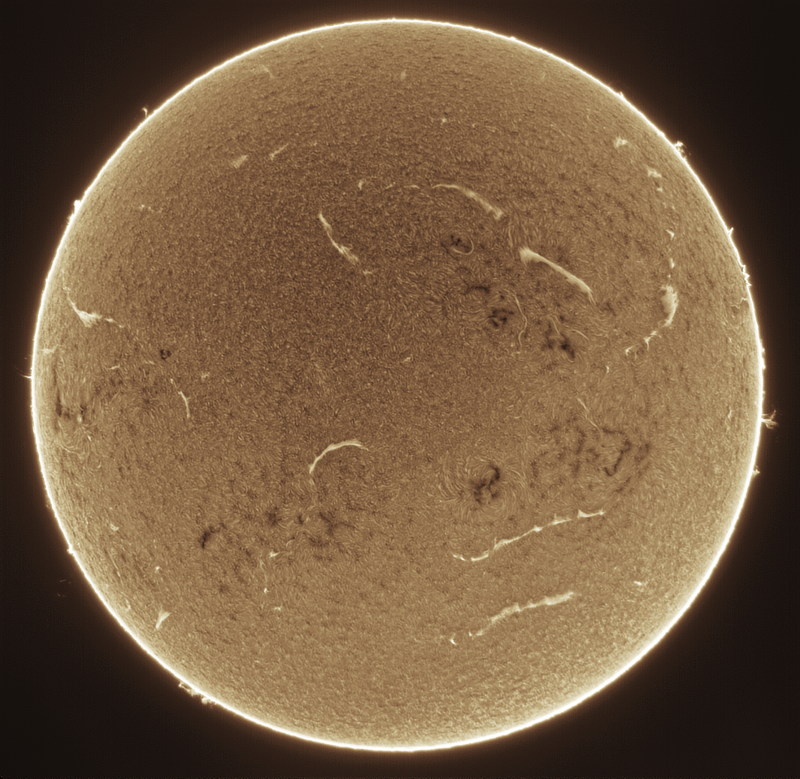 - 2026-09-01-0818_3-U-G-Sun_Halpha_ZWO ASI585MM_Gain=150_Exposure=6.5ms_Gamma=50_2_Surface_20.fit-IMPPG.01.Tif-Affinity.02.Png