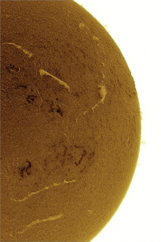 2026-09-01-0836_0-U-G-Sun_Halpha_ZWO ASI585MM_Gain=169_Exposure=6.5ms_Gamma=49_12_Surface_20_Sharp26_B0.0_C1.3_S1_N1_SUN_INV.png