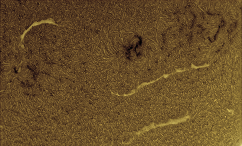 2026-09-01-0841_4-U-G-Sun_Halpha_ZWO ASI585MM_Gain=178_Exposure=6.5ms_Gamma=29_17_Surface_20_Sharp20_B1.0_C1.7_S1_N1_SUN_INV.png